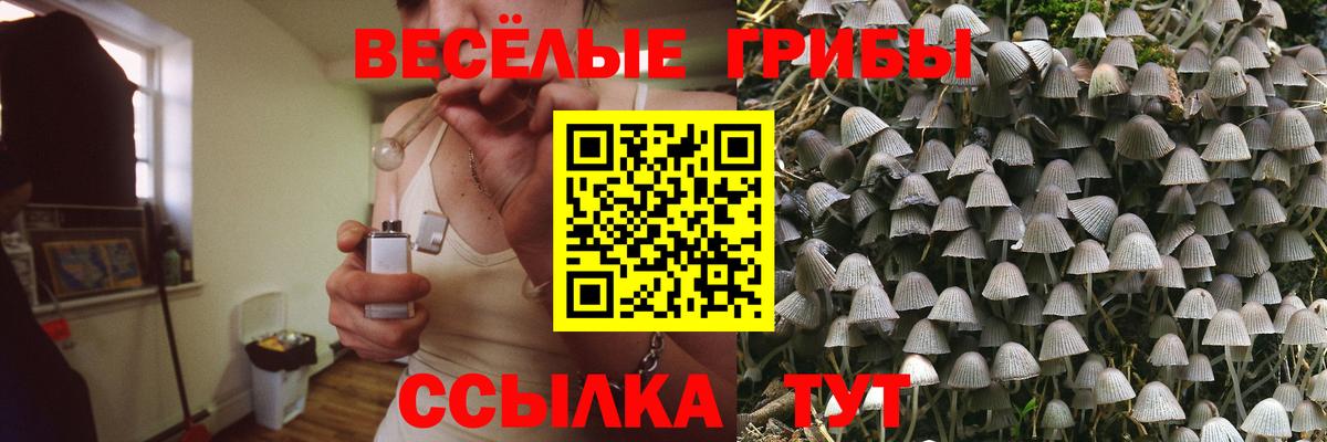 Галлюциногенные грибы мицелий  Вход с VPN  Галлюциногенные грибы GOLDEN TEACHER  Унеча 